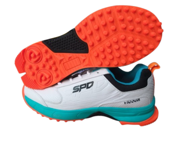 Speed Cricket Shoe Vigour